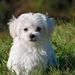 Profile Picture of Andrew NOACK (@23andrewnoack) on Pinterest