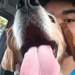Profile Picture of Kevin Shih (@kevinshihuang) on Instagram