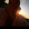 Profile Picture of Matilde Pinto (@matildepinto00) on Tiktok