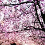 Profile Picture of Abdikariim Omar (@abdikariim.omar.10) on Facebook