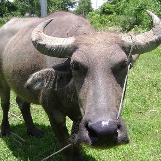 Profile Picture of Malcolm Baron (@malcolmbaron) on Tiktok