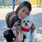 Profile Picture of Vanessa Ve Chow (@ve.chow) on Instagram