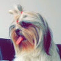 Profile Picture of Hugo Benavides (@hugo-benavides-8) on Quora