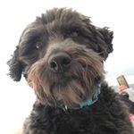 Quinn Holden - Instagram Profile Picture of Quinn Holden (@quinnstagram_24prr) on Instagram