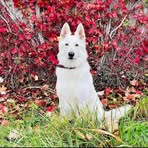 Profile Picture of Erwin Graf (@Erwin-Graf) on Facebook