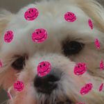 Profile Picture of Isabel van de wetering (@i_vandewetering) on Instagram