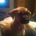Profile Picture of Tommy Helton (@tommy.helton.792) on Facebook