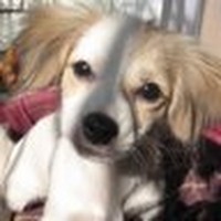 Profile Picture of Bo Nguyen (@bo-nguyen-3) on Quora