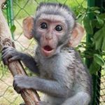 Profile Picture of Corey Andrew Sia- Townes (@coreysiatownes) on Instagram