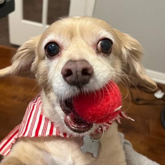 Profile Picture of Philip Leicht (@pleicht28) on Poshmark