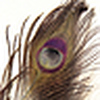 Profile Picture of Barbara Vukits (@colorbright) on Flickr
