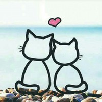 Profile Picture of Cindy Lopes (@cindy-lopes-4) on Quora