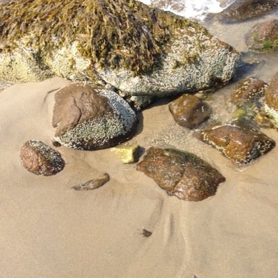 Amy Pace - Twitter Profile Picture of Amy Pace (@AmyPace25) on Twitter