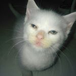 Cindy Becker - Instagram Profile Picture of Cindy Becker (@becker5791) on Instagram