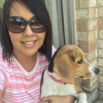 Profile Picture of Gloria Mata (@beaglelife_mata) on Instagram