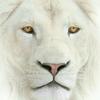 Profile Picture of Jason Sherrick781 (@@user8880207556192) on Tiktok