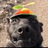 Profile Picture of dustin stahl (@@darkfinst2) on Tiktok