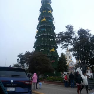 Profile Picture of mario canseco (@canseco_mario) on Instagram