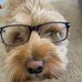 Profile Picture of Al Schmedrude (@Al-Schmedrude) on Facebook