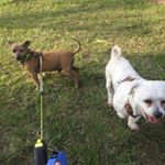 Profile Picture of Terry&Toby (@terryandtoby) on Instagram