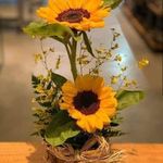 Profile Picture of Marilyn Millan (@marilyn.millan.716) on Instagram