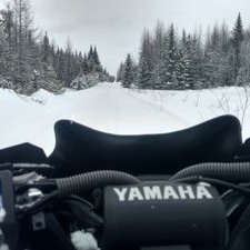 Profile Picture of Shawn Michael Searle (@Shawnmichaelse1) on Twitter