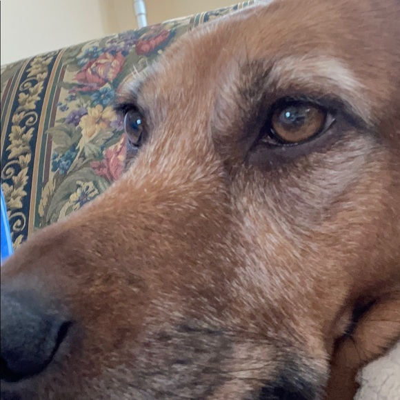 Profile Picture of David Jameson (@djameson1) on Poshmark