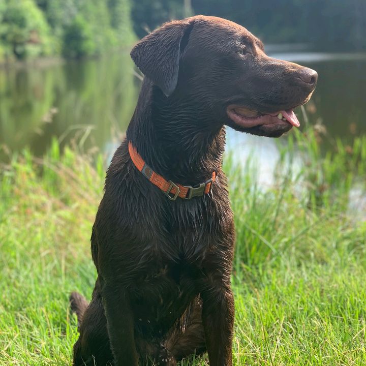 Edward Pettigrew622 - Tiktok Profile Picture of Edward Pettigrew622 (@@edwardpettigrew3) on Tiktok