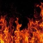 Profile Picture of r a y 🐝 / Link In Bio (@grandeshusband) on Instagram