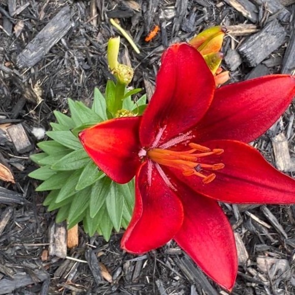 Pauline Marchand - Poshmark Profile Picture of Pauline Marchand (@paulinemarch746) on Poshmark