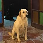 Profile Picture of Daniel Alday (@d.alday_) on Instagram