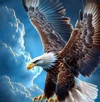 Profile Picture of Robert Cooley (@robert.cooley.110971) on Facebook