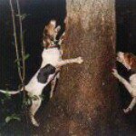 Profile Picture of Michael Morris (@beagles2112) on Instagram