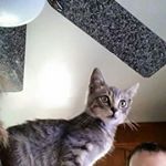 Profile Picture of Jimmy Clancy (@clancyjimmy) on Instagram