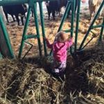 Profile Picture of Kevin Doxtator (@doxtator.kevin) on Instagram