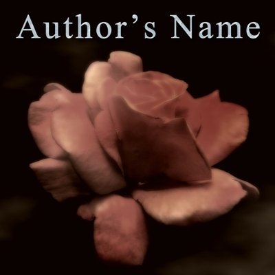 Profile Picture of Kimberly Hargis (@bcovers4authors) on Twitter