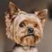Profile Picture of Jennifer Higgins (@jennifer.higgins.779857) on Facebook