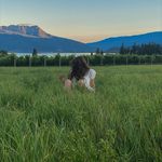 Profile Picture of Alena Hamilton (@alena_hams) on Instagram