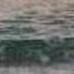 andrew winn - Instagram Profile Picture of andrew winn (@bramborahajkova) on Instagram