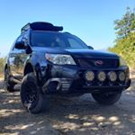 Profile Picture of Mike Kolb (@mikekolbwildlife) on Instagram