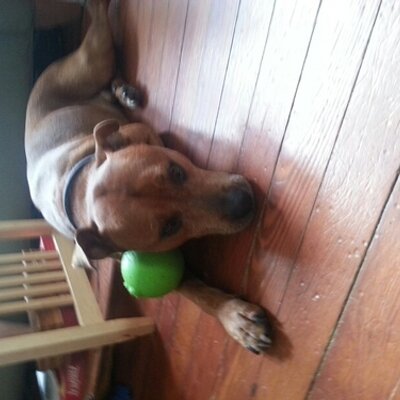 Profile Picture of Lauren J. Bierbaum (@NOLA_LJB) on Twitter