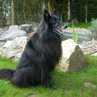 Profile Picture of Harald Maurath (@harald.maurath) on Facebook