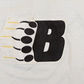Profile Picture of New Westminster Bruins (@NewWestBruins) on Twitter