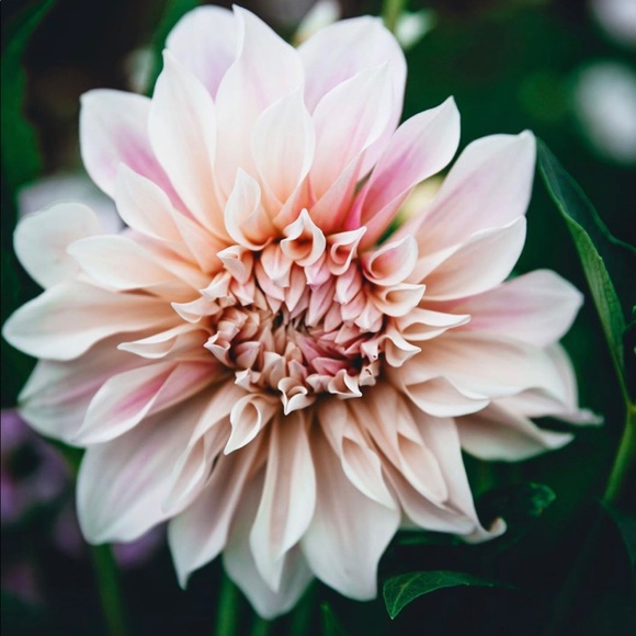 Profile Picture of Marissa Stewart (@marissastewa475) on Poshmark