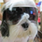 Profile Picture of Sylar_ghost (@sylar_ghost) on Flickr