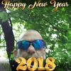 Profile Picture of georgesquires389 (@@georgesquires389) on Tiktok
