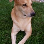 Profile Picture of Candy Brown (@candy.brown.9277) on Instagram