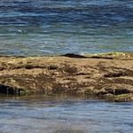 Mandy Forbindayine - Instagram Profile Picture of Mandy Forbindayine (@mandy_forbinda) on Instagram