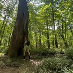 Profile Picture of Terry Lee Kuhns (@_terrykuhns64) on Instagram