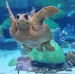 Profile Picture of Stephen Cheek (@stephen.cheek.784941) on Facebook